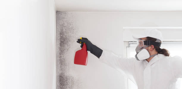 Best Bathroom Mold Remediation in North Eagle Butte, SD