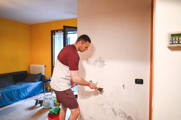 Best Health and Safety Mold Remediation in North Eagle Butte, SD